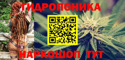 MDMA Premium VHQ Камышлов