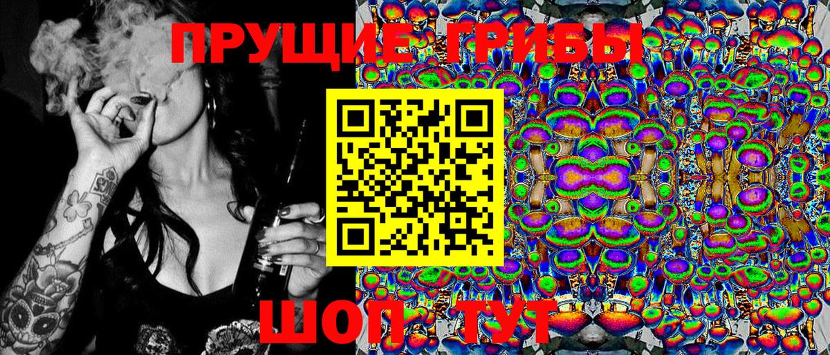 Псилоцибиновые грибы Cubensis Югорск