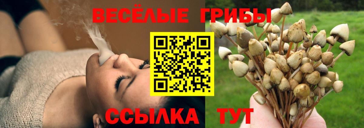 Югорск  Галлюциногенные грибы Psilocybe  Вход с VPN 